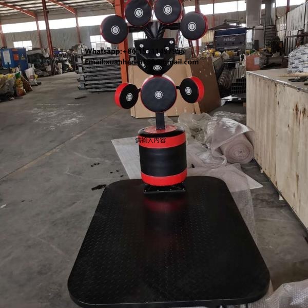 Gym Sports Equipment Professio - Sports Equipment Gym ulasan dan harga
