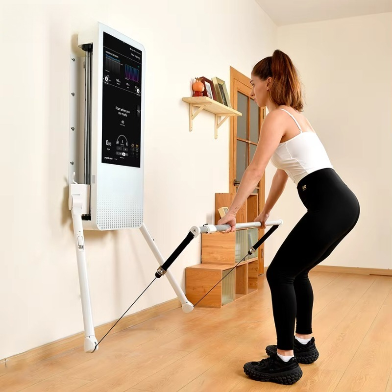 Multifunctional Home Fitness E - Sports Equipment Website ulasan dan harga