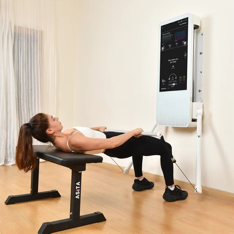 Multifunctional Home Fitness E - Sports Equipment Website ulasan dan harga