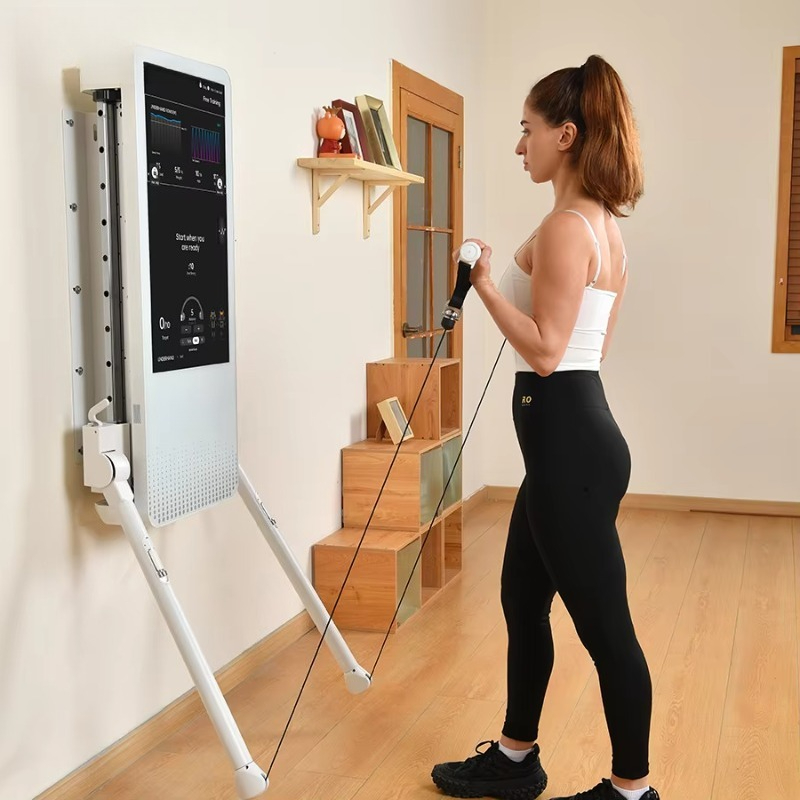 Multifunctional Home Fitness E - Sports Equipment Website ulasan dan harga